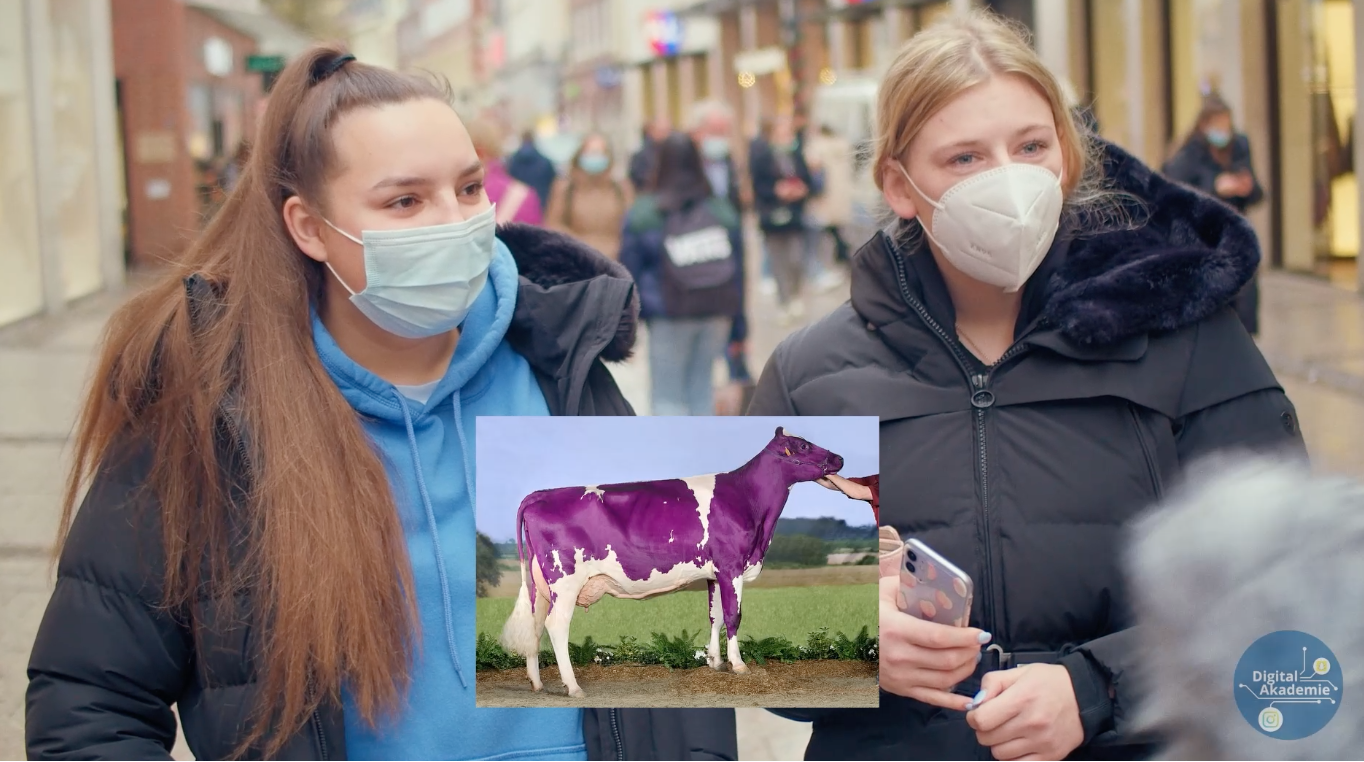 Eine Straßenumfrage zum Thema Verschwörungstheorien