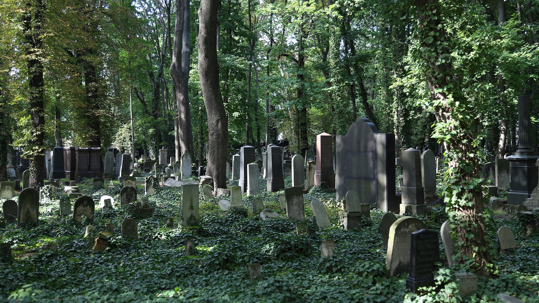 Jüdischer Friedhof Schönhauser Allee