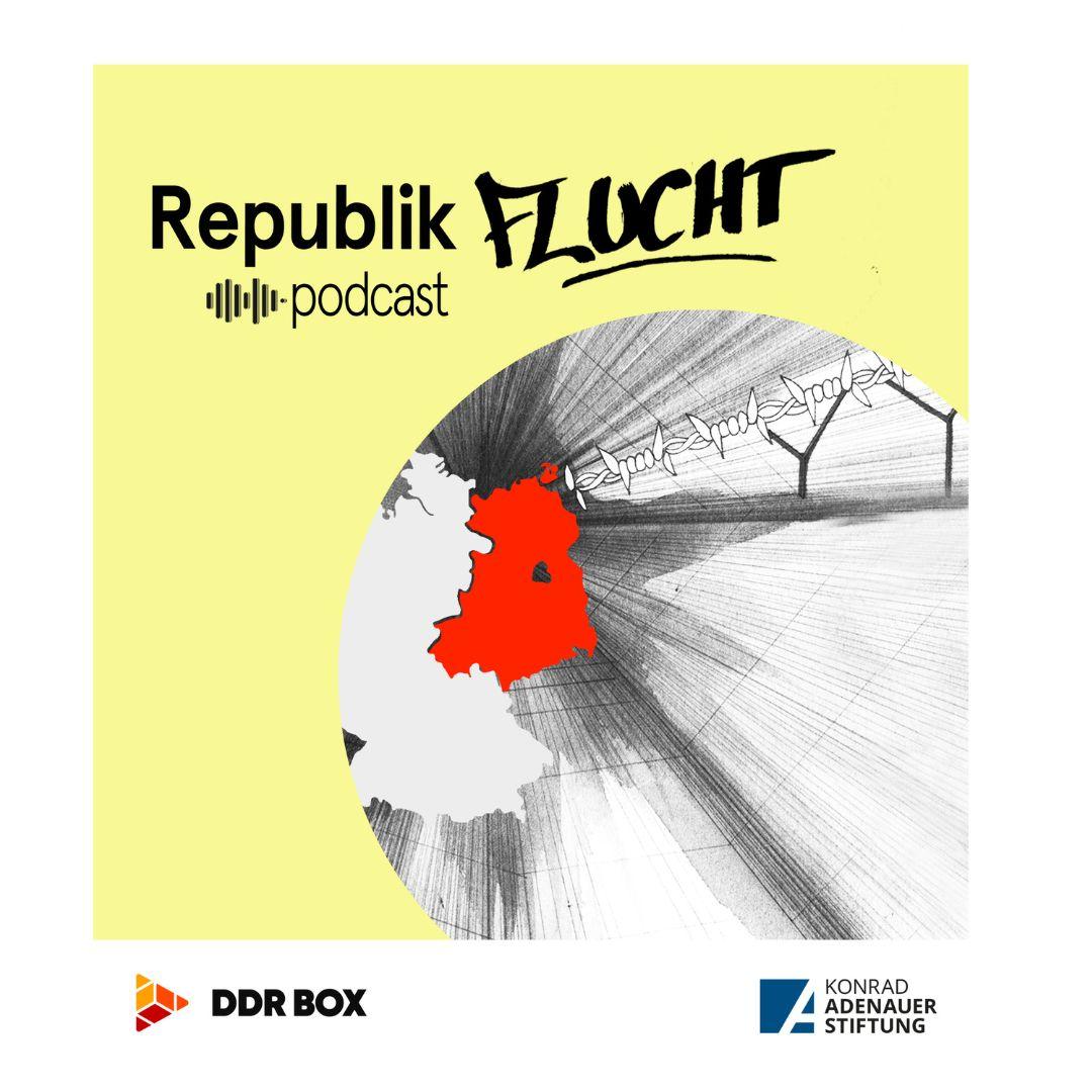 Kopie von #1 Feed Alle Infos (3)